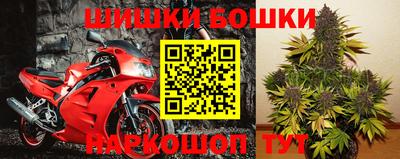 ПСИЛОЦИБИНОВЫЕ ГРИБЫ Краснокаменск
